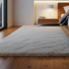 Carpet Pro